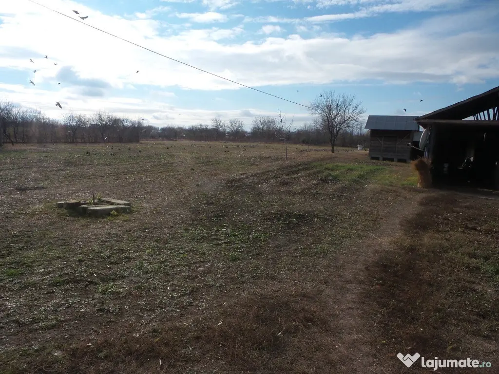 Teren Central Vulturu