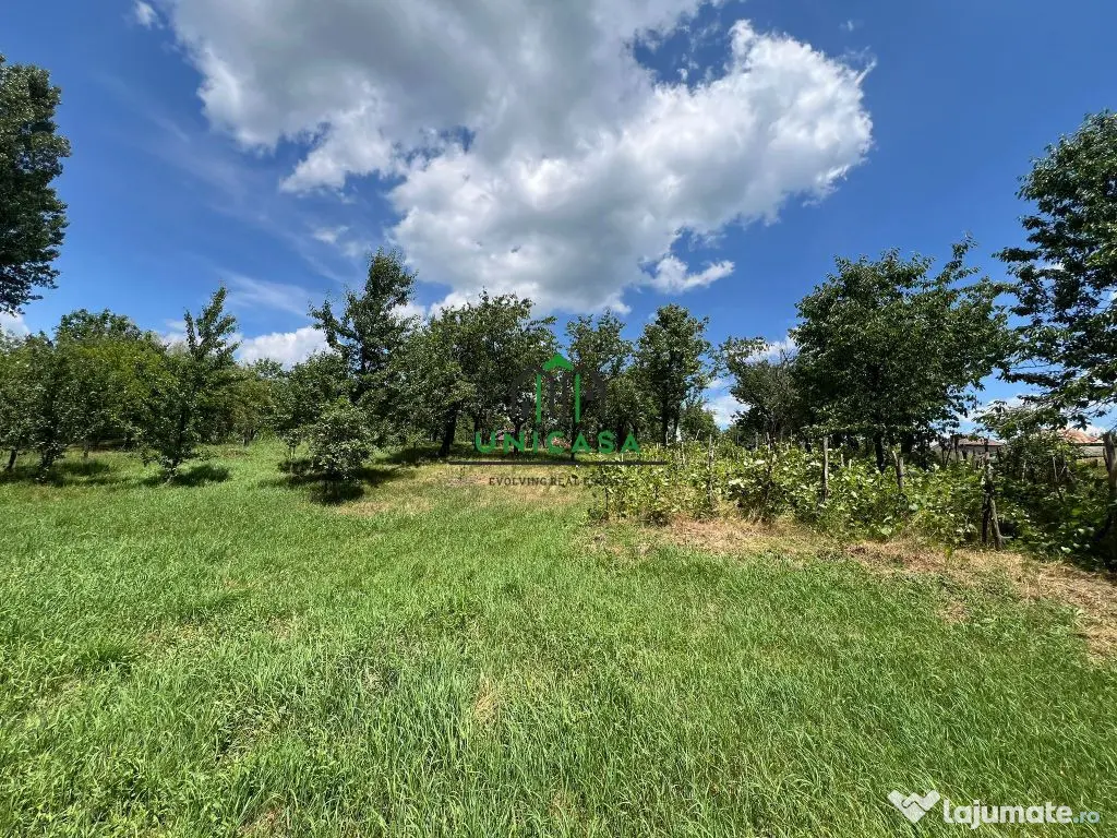 Teren Fedelesoiu/3200 mp/Intravilan 