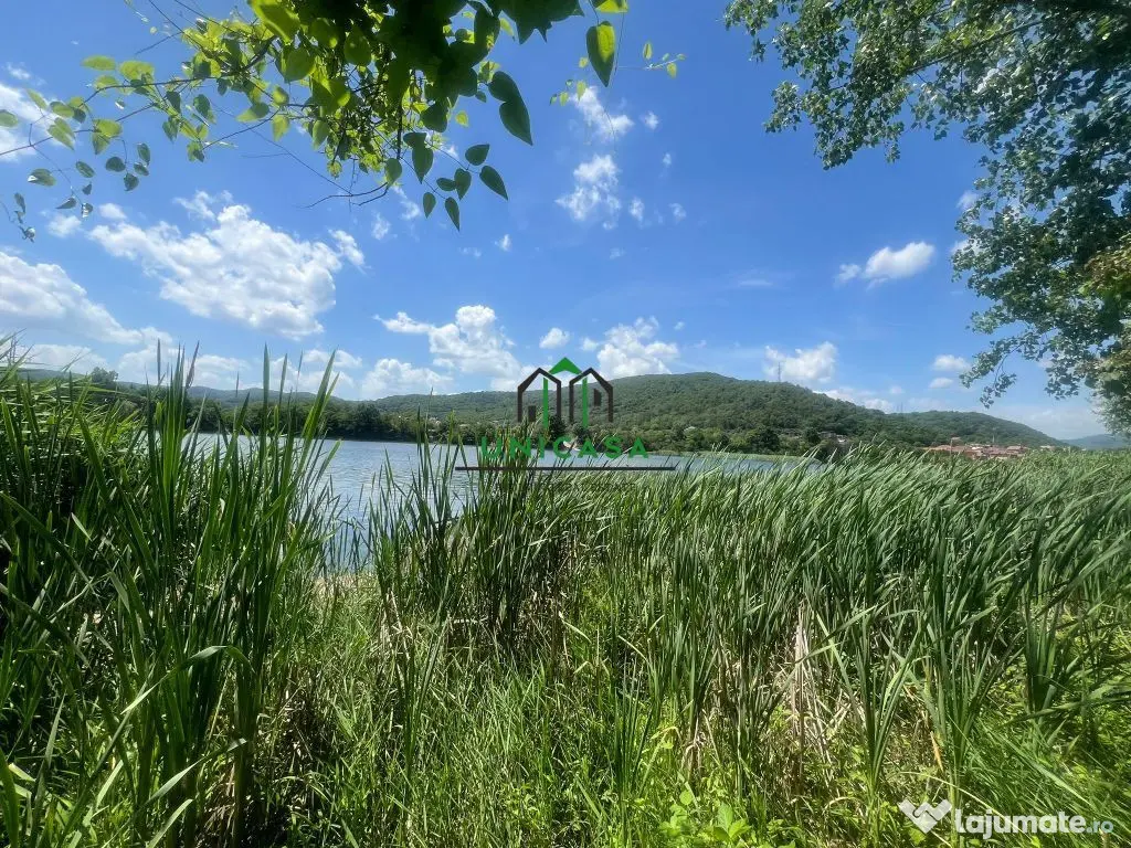 Teren Fedelesoiu/3200 mp/Intravilan 