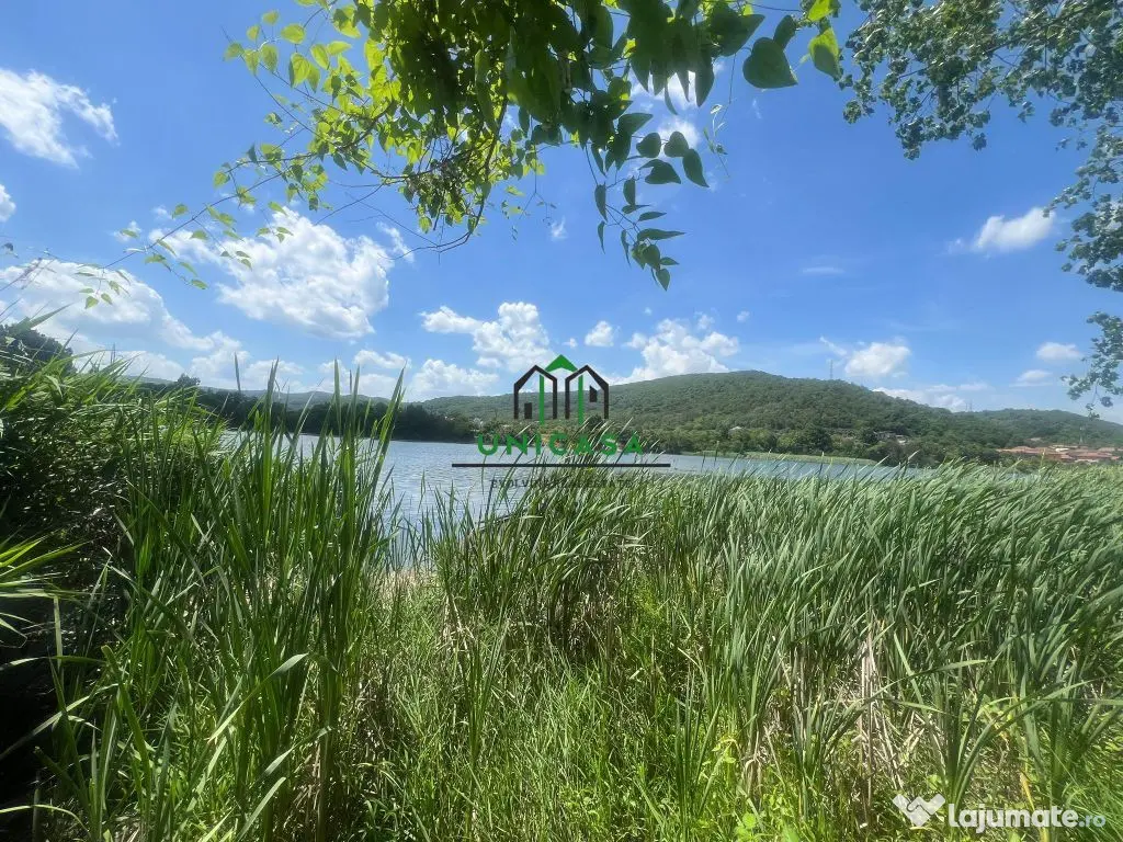 Teren Fedelesoiu/3200 mp/Intravilan 