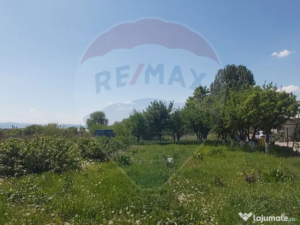 Vila individuala de inchiriat in Sibiu, cu teren de 1.000 mp 