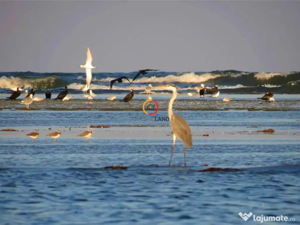 Teren 1950mp cu casa batraneasca 45 mp 