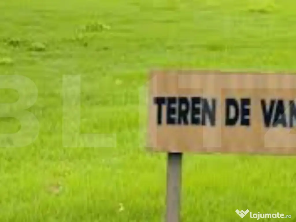 Teren Extravilan, 50.000mp, Patrauti