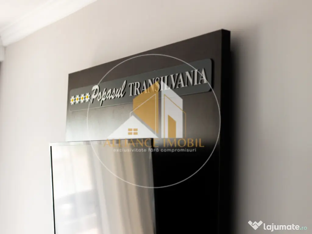 Bijuterie Turistică în Pasul Tihuța: Pensiune de Vânzar 