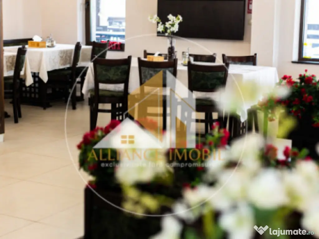 Bijuterie Turistică în Pasul Tihuța: Pensiune de Vânzar 