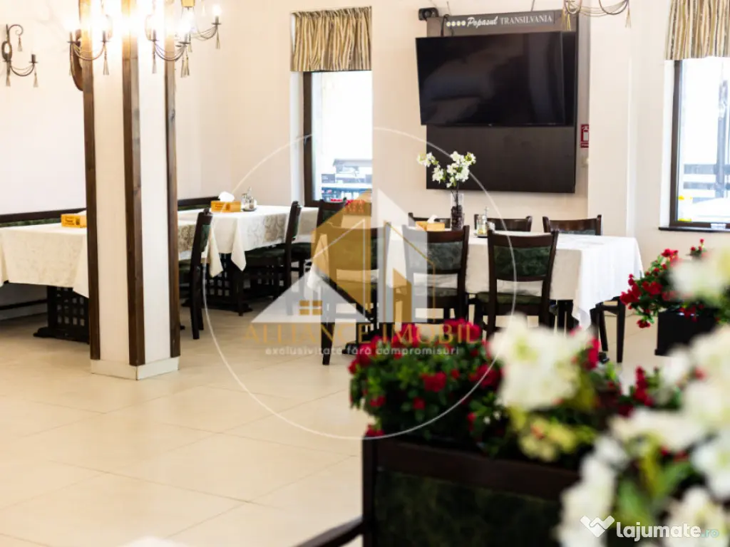 Bijuterie Turistică în Pasul Tihuța: Pensiune de Vânzar 