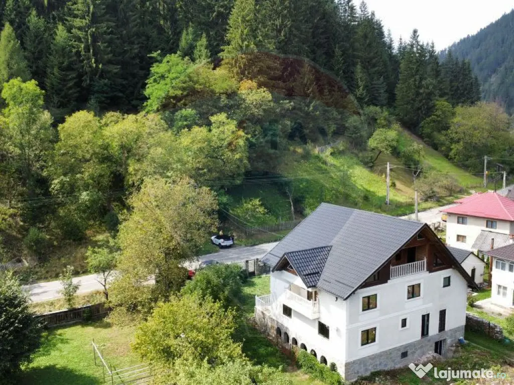 Casă / Vilă 7 camere sat Mădei comuna Borca Jud Neamț 