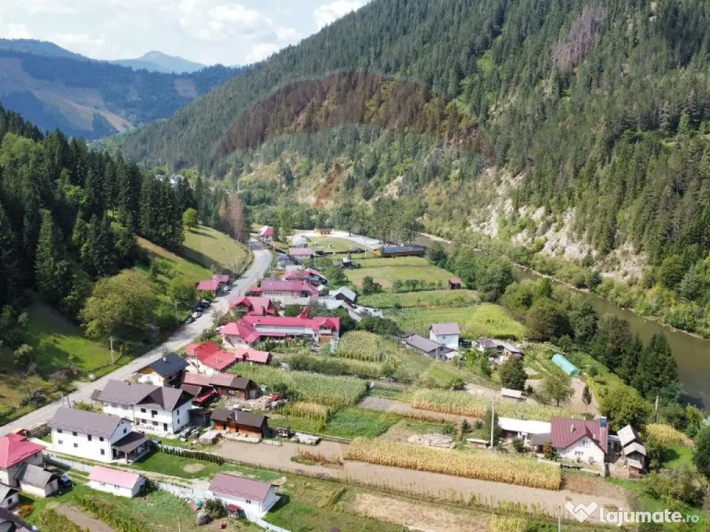 Casă / Vilă 7 camere sat Mădei comuna Borca Jud Neamț 