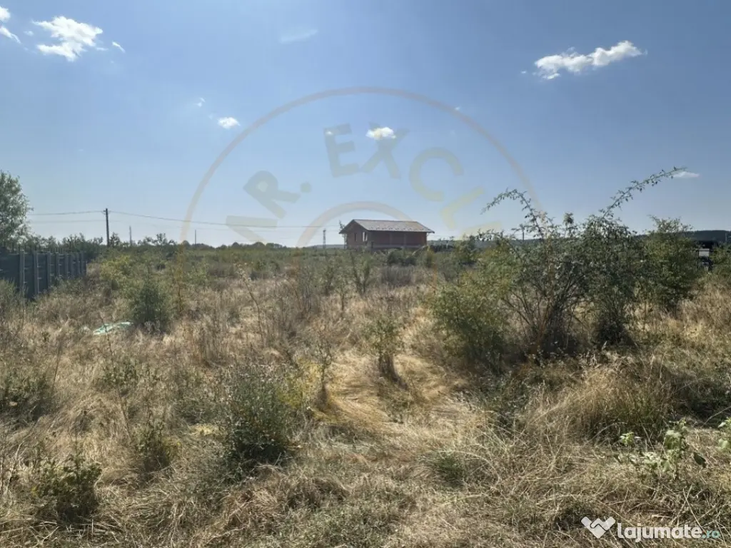 Teren Intravilan Magic Trivale - Aleea Bradului 1040 mp 