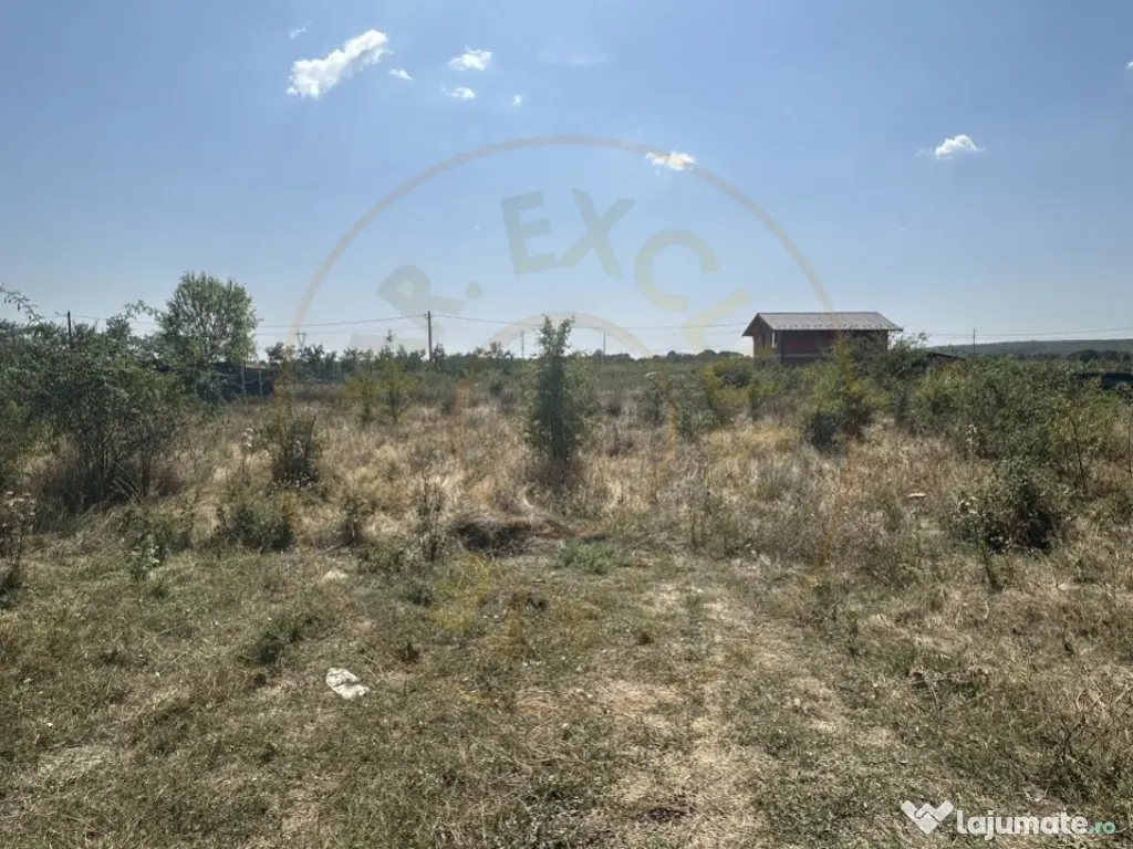 Teren Intravilan Magic Trivale - Aleea Bradului 1040 mp 