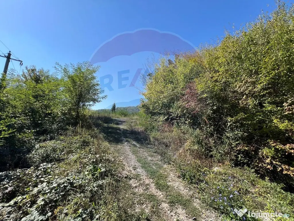 Teren intravilan Buru | ideal agrement, activități outdoor 