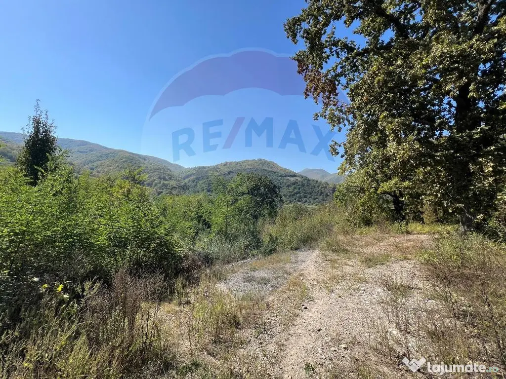 Teren intravilan Buru | ideal agrement, activități outdoor 