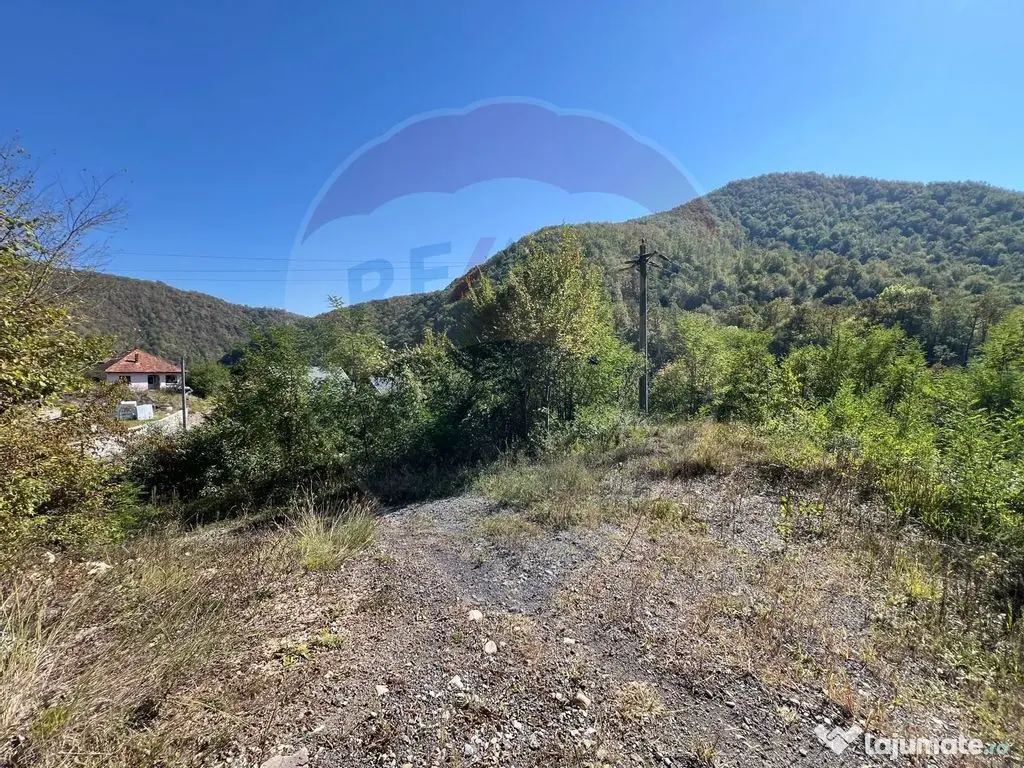 Teren intravilan Buru | ideal agrement, activități outdoor 