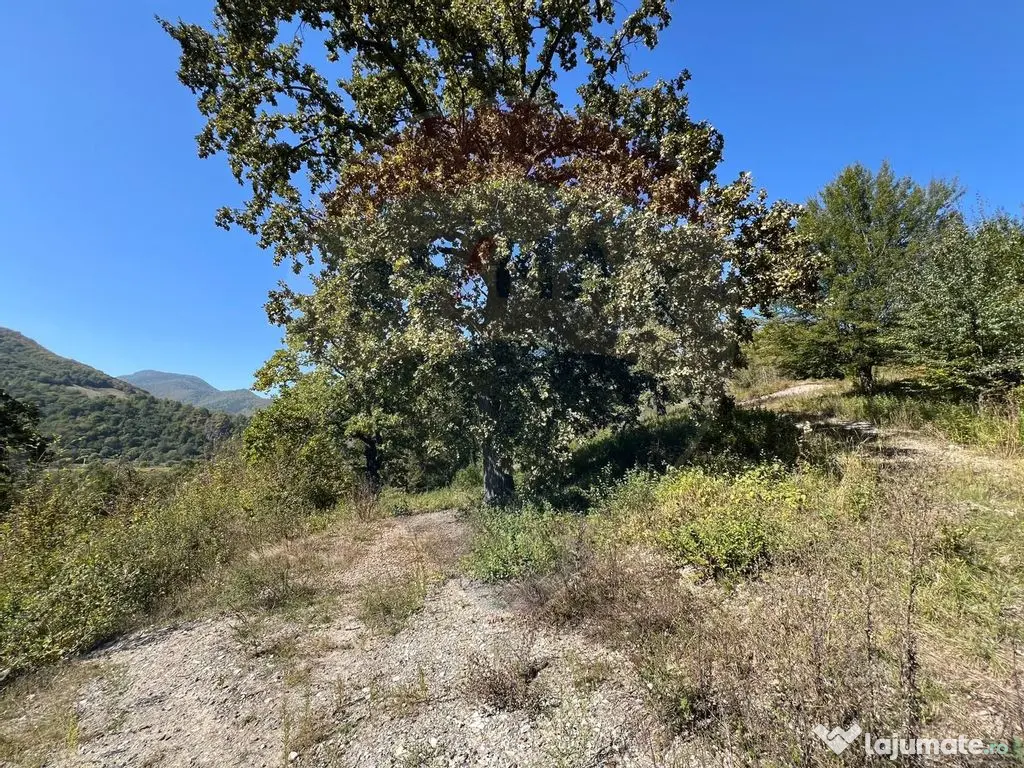 Teren intravilan Buru | ideal agrement, activități outdoor 