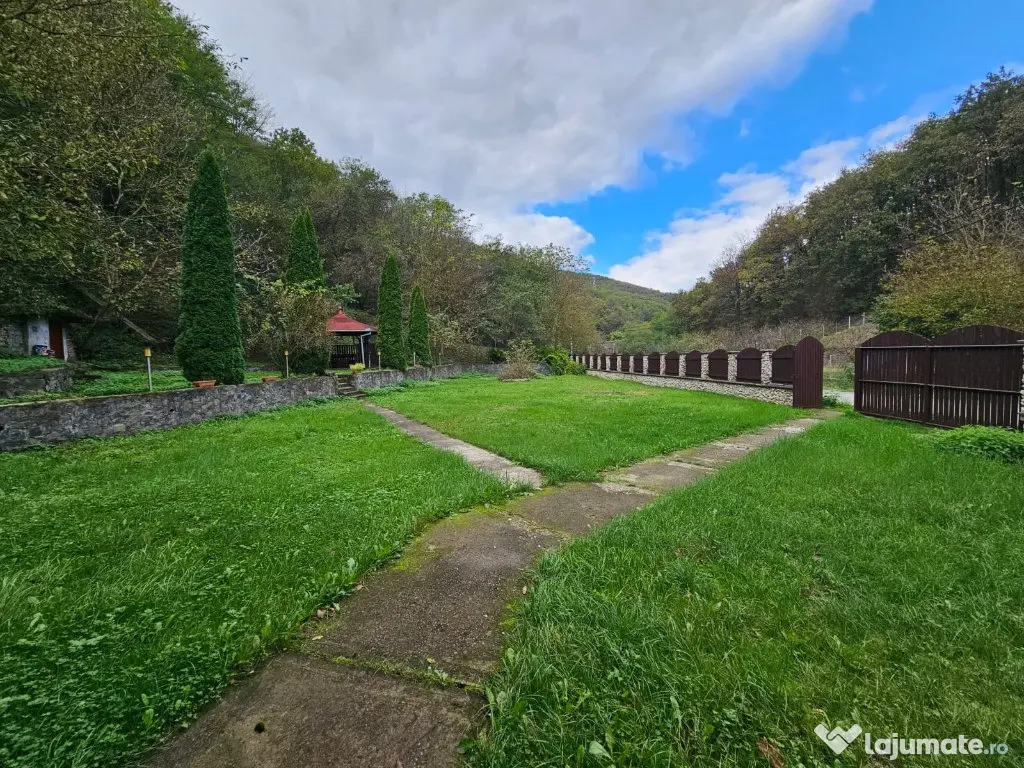 Vila Exclusivista Vetel,valea Caoiului 