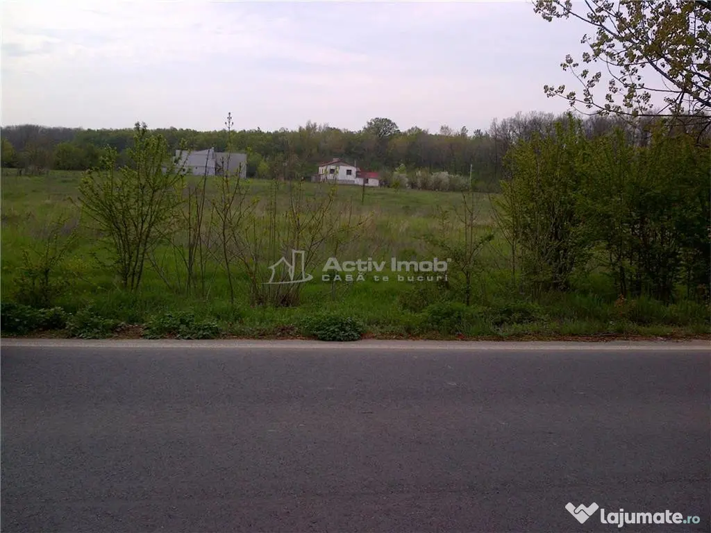 Teren intravilan, 5000mp, Ciolpani - accept schimb 