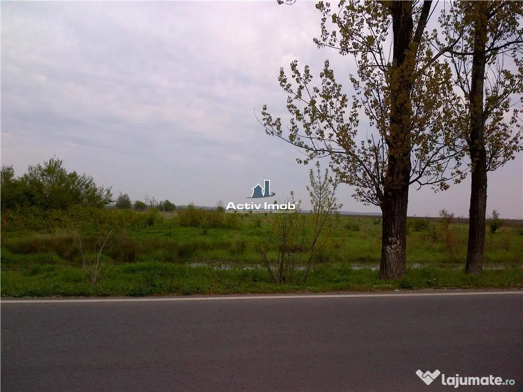 Teren intravilan, 5000mp, Ciolpani - accept schimb 