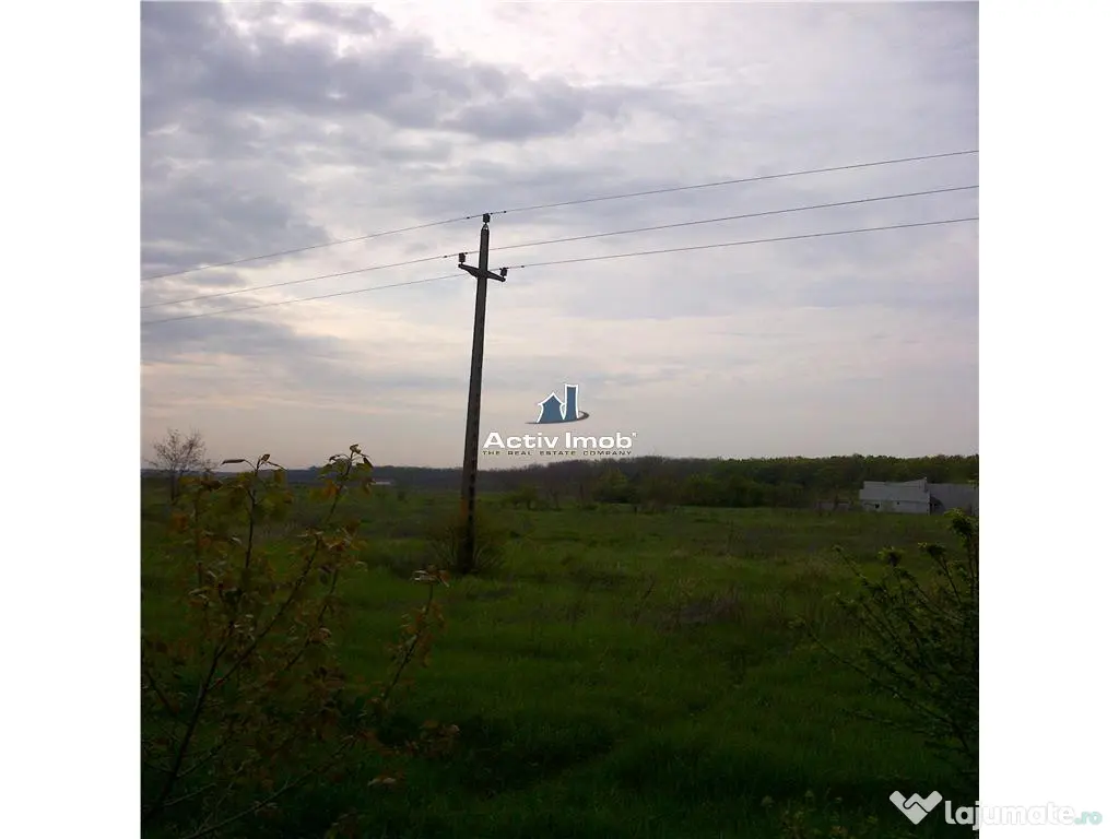 Teren intravilan, 5000mp, Ciolpani - accept schimb 