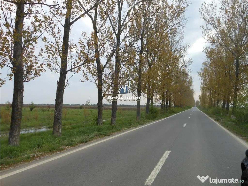 Teren intravilan, 5000mp, Ciolpani - accept schimb 