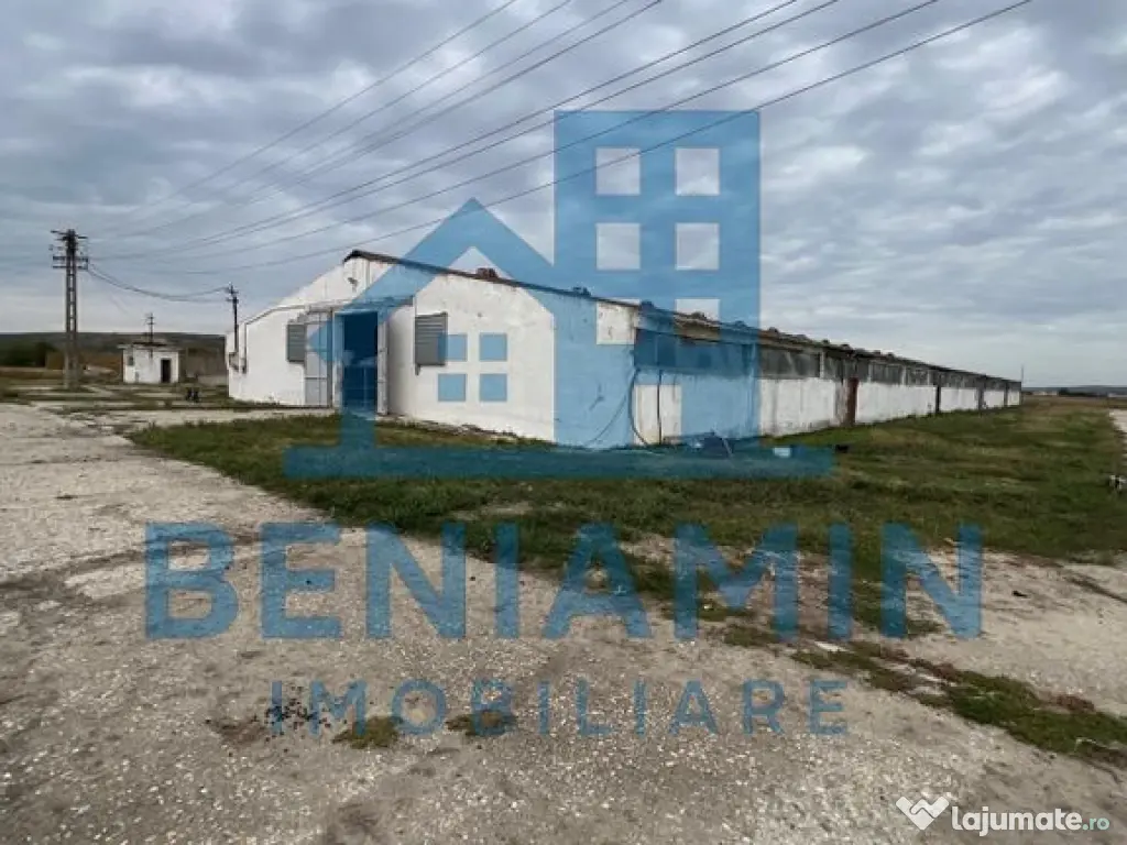 60.000mp Ferma de bovine, păsări, porcine, culturi agri...