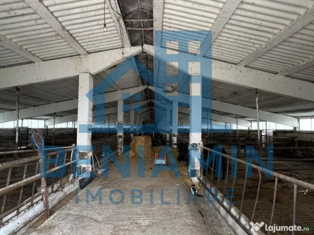 60.000mp Ferma de bovine, păsări, porcine, culturi agri...