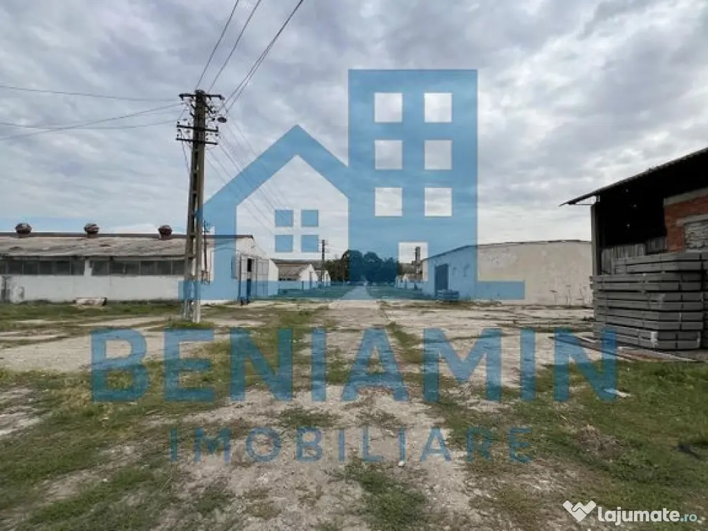 60.000mp Ferma de bovine, păsări, porcine, culturi agri...