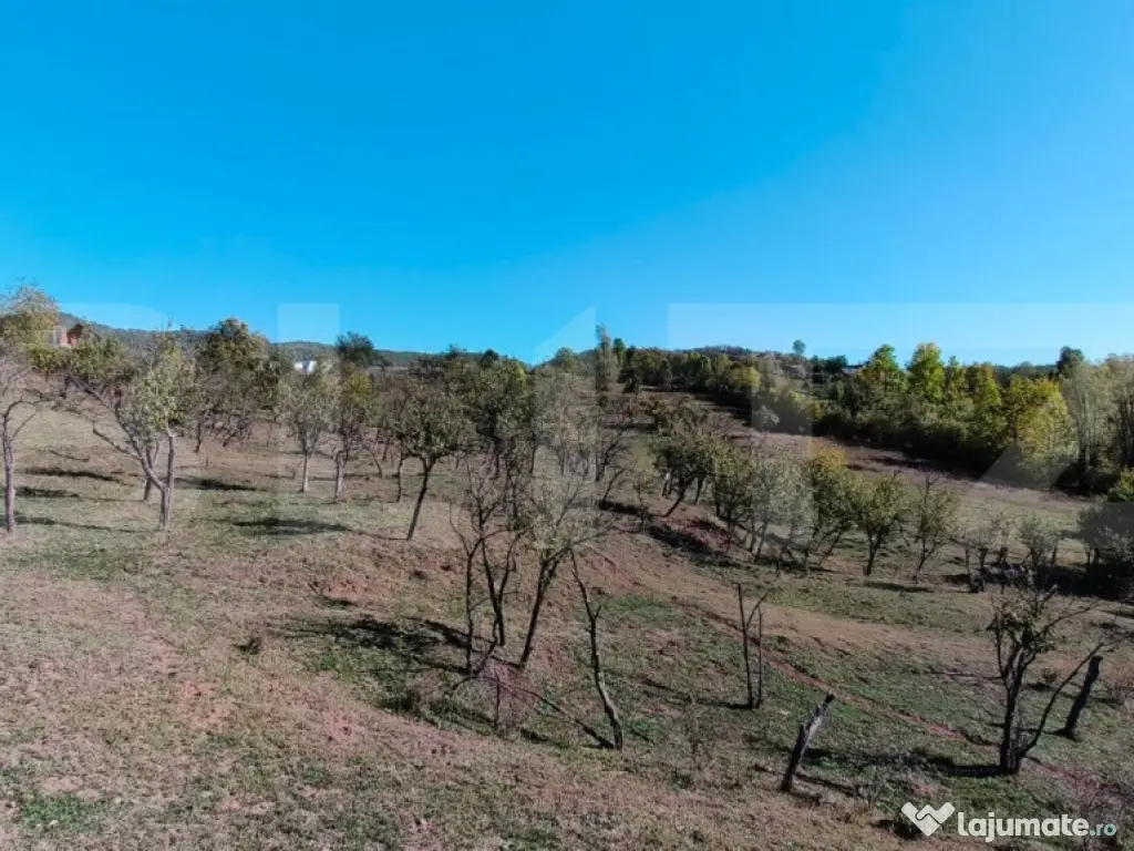 Teren extravilan cu priveliște superba , livadă și poten? 