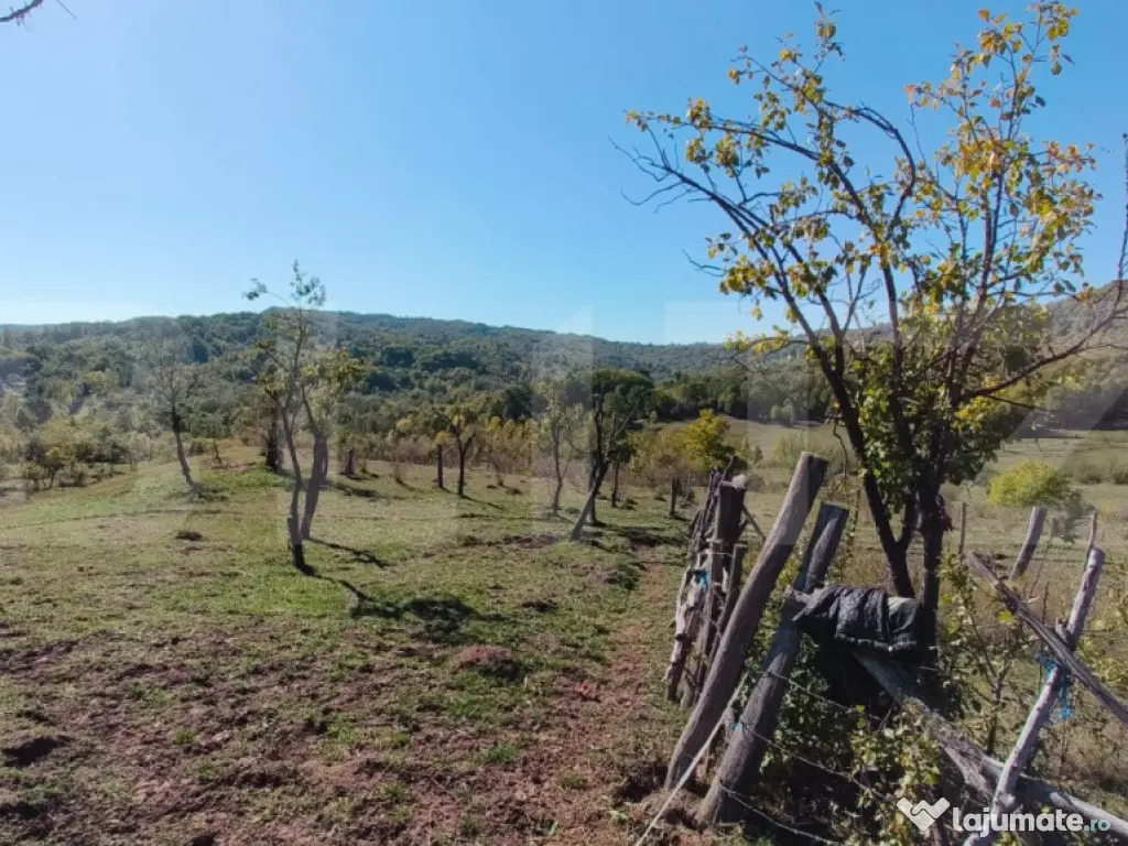 Teren extravilan cu priveliște superba , livadă și poten? 