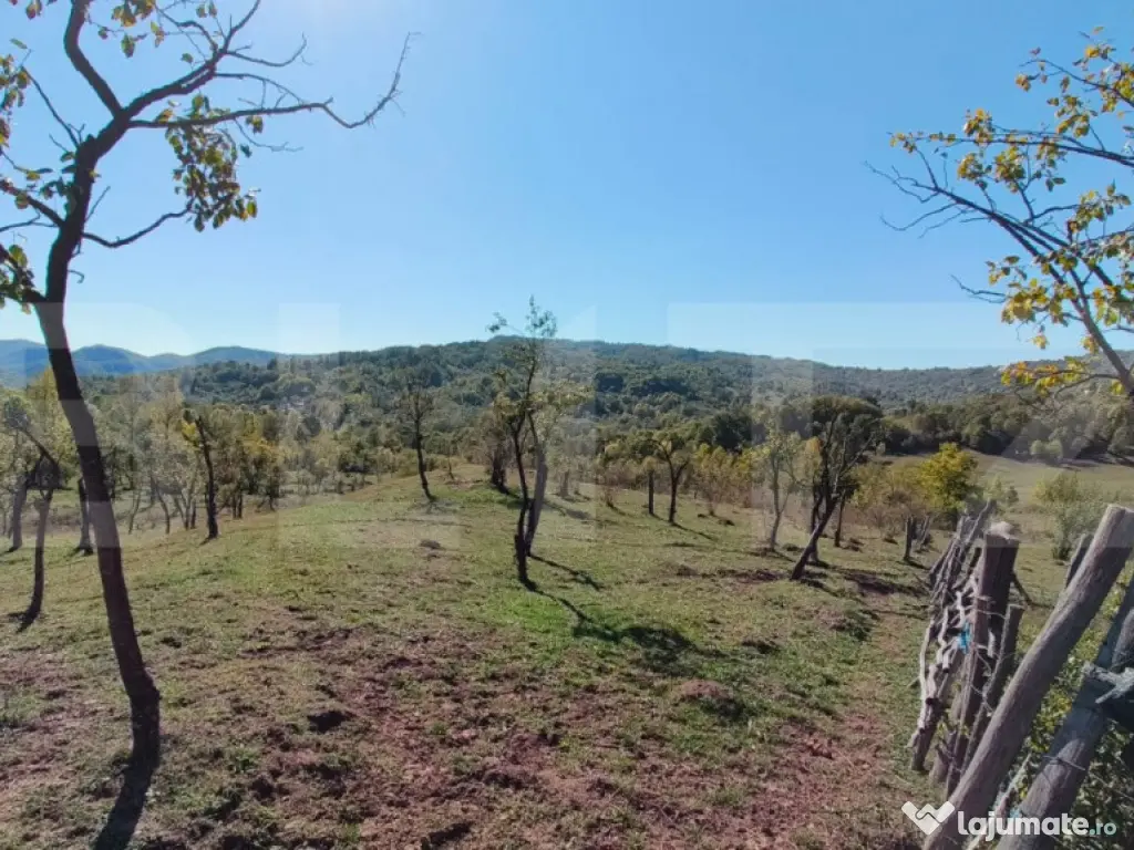 Teren extravilan cu priveliște superba , livadă și poten? 