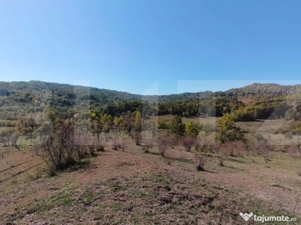 Teren extravilan cu priveliște superba , livadă și poten? 