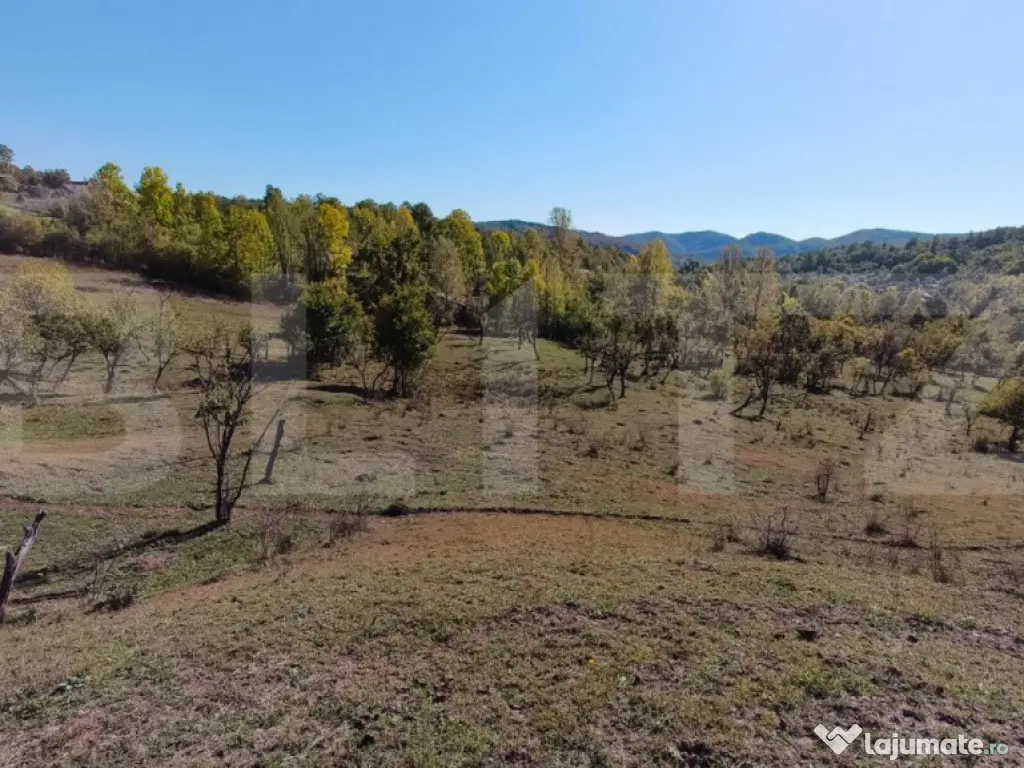 Teren extravilan cu priveliște superba , livadă și poten? 