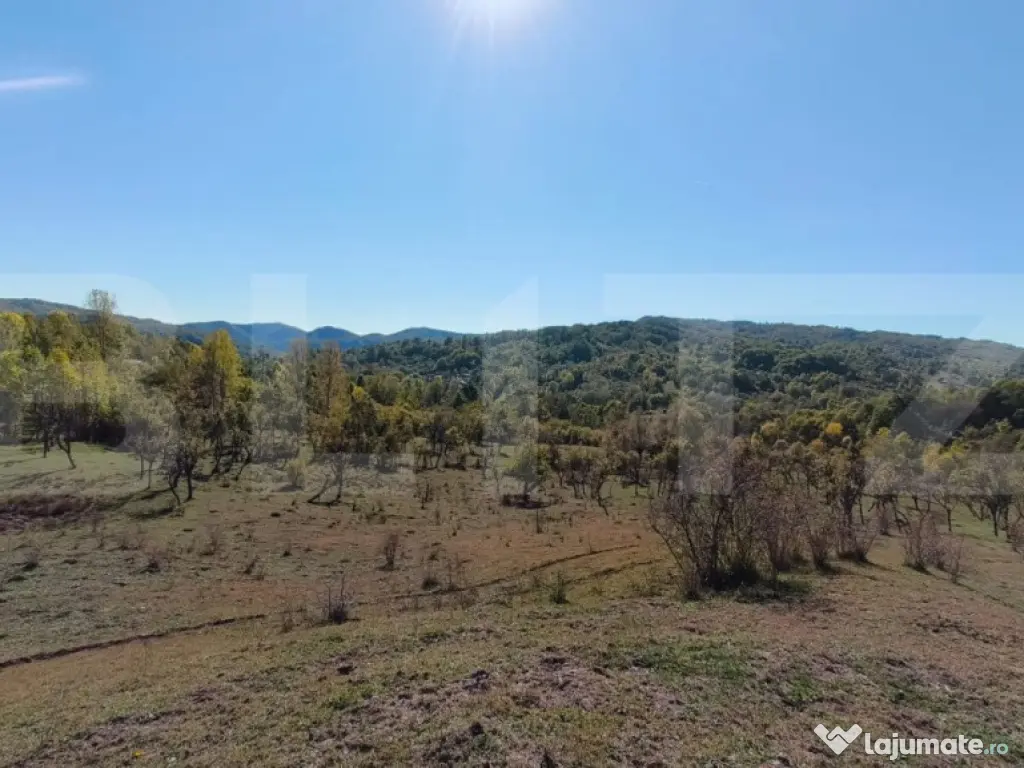 Teren extravilan cu priveliște superba , livadă și poten? 