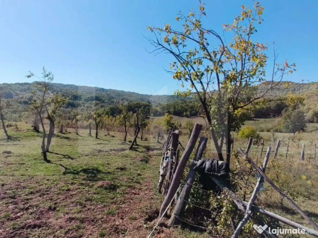 Teren extravilan cu priveliște superba , livadă și poten? 