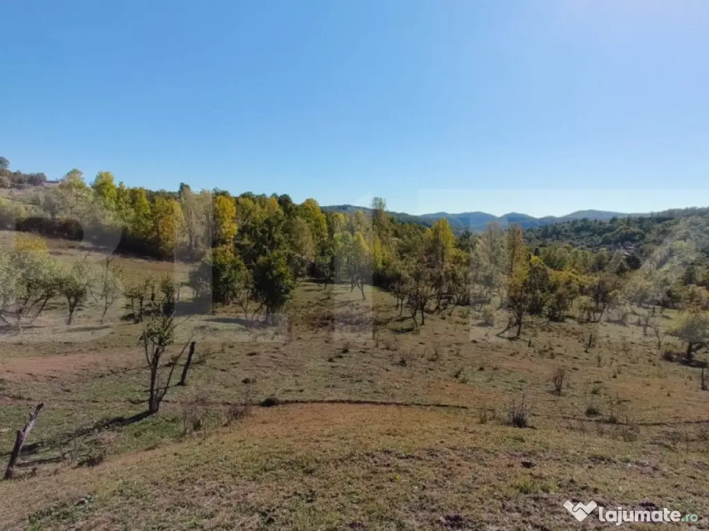 Teren extravilan cu priveliște superba , livadă și poten? 