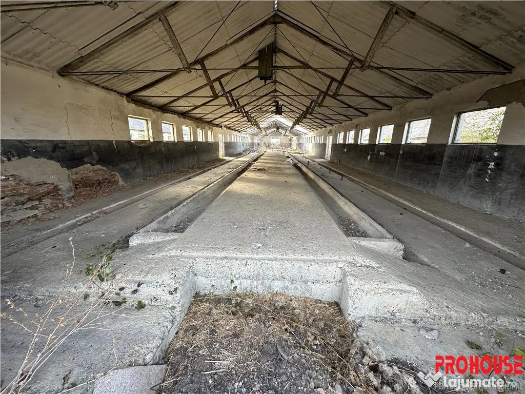 Platforma industriala 27.000mp - Racova - Buhusi 