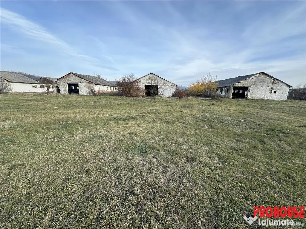 Platforma industriala 27.000mp - Racova - Buhusi 