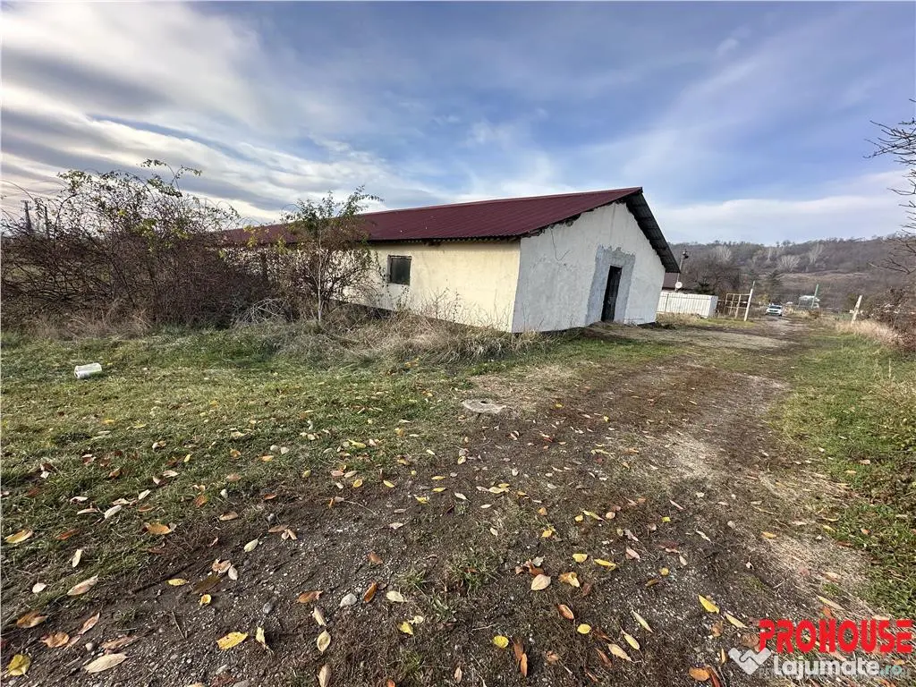 Platforma industriala 27.000mp - Racova - Buhusi 