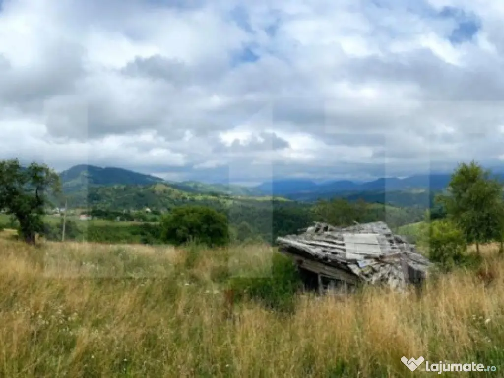 Teren 4008 mp, Moieciu, Pestera