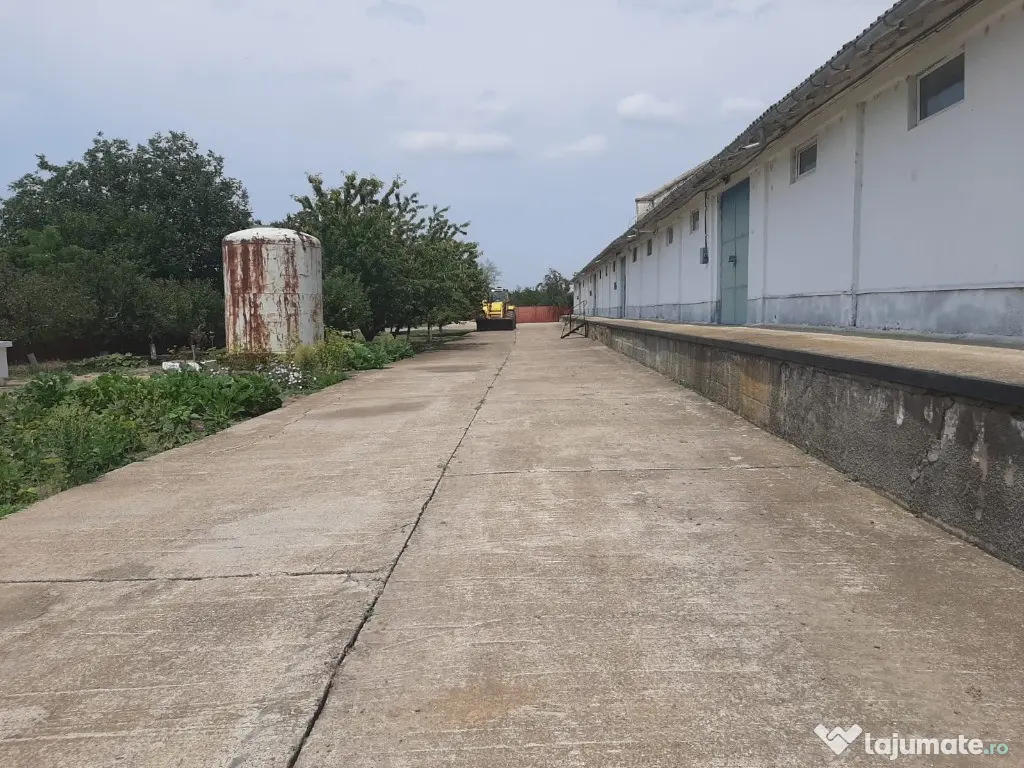 Hala in Independenta 