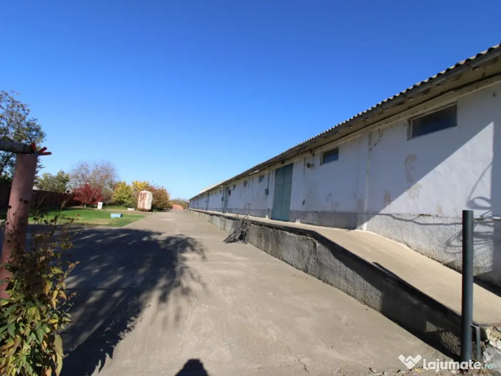 Hala in Independenta 