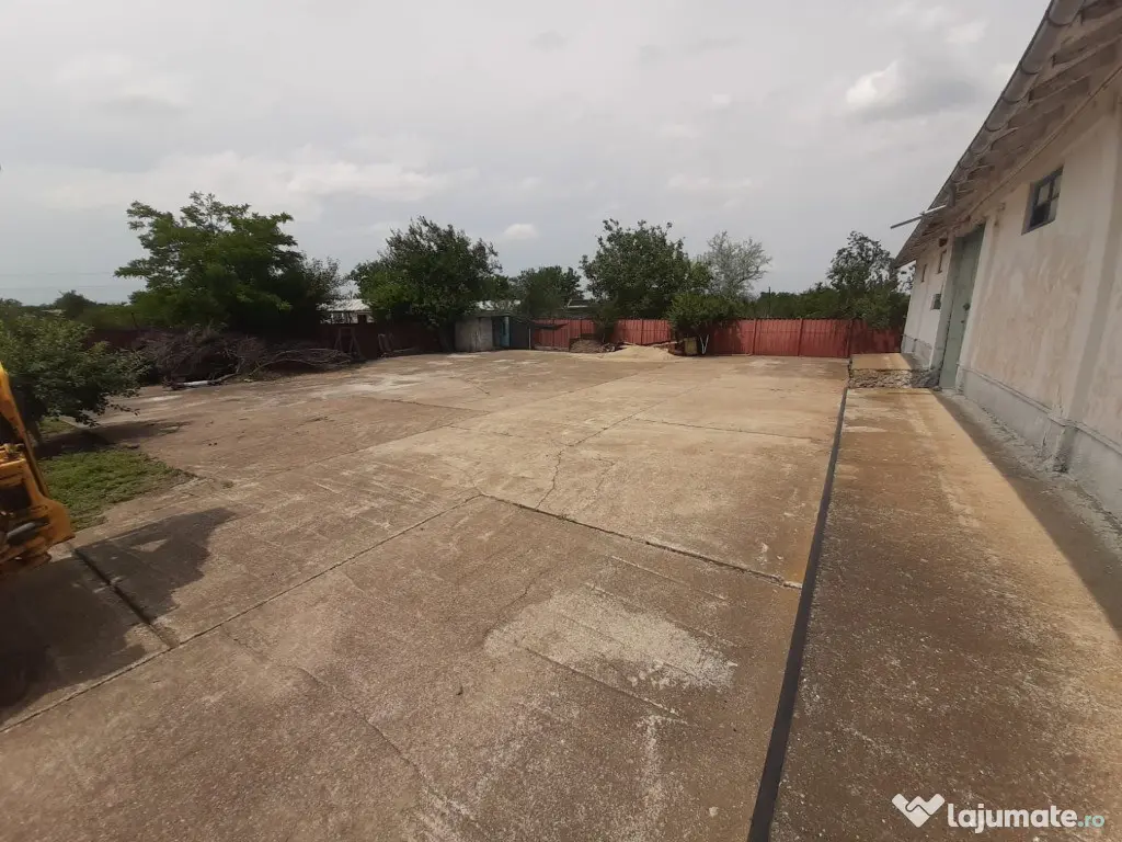 Hala in Independenta 