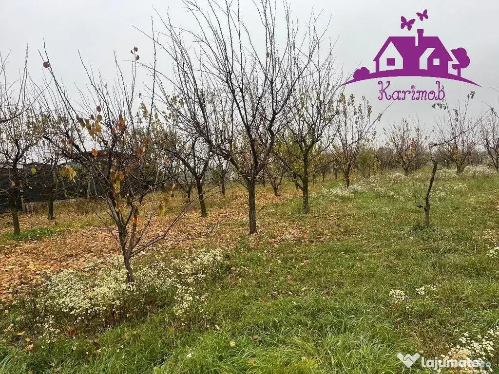 Parcela de teren Nojorid 