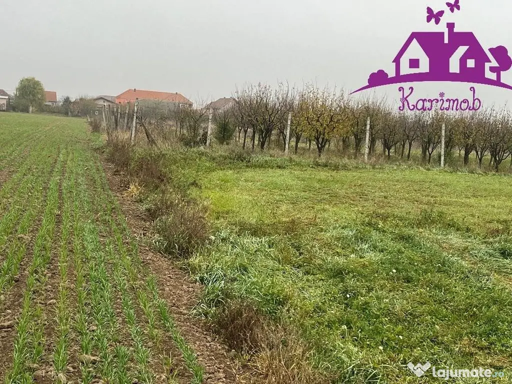 Parcela de teren Nojorid 