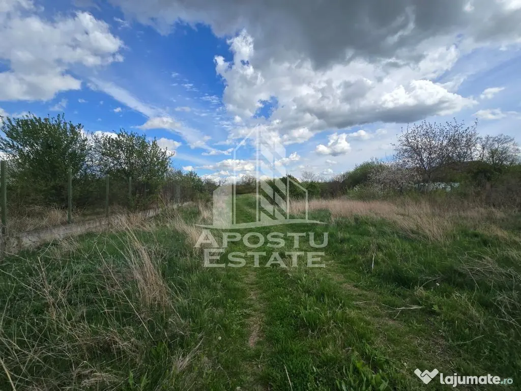 Teren 2000 mp Intravilan