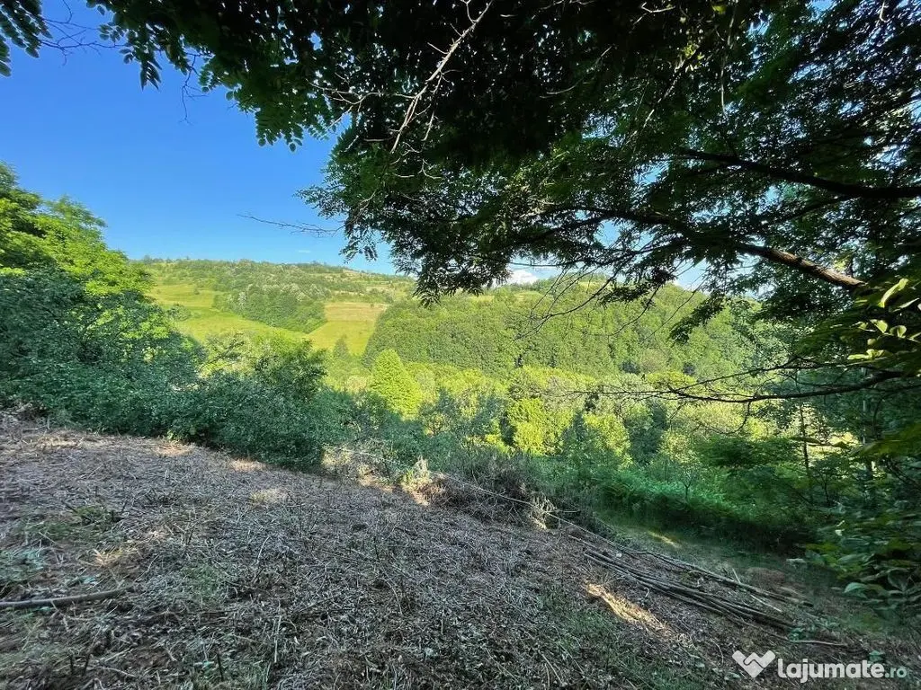 Teren zona turistica Rosia 