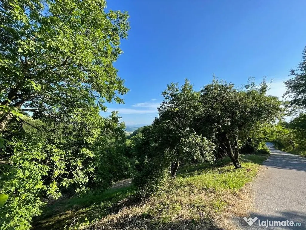 Teren zona turistica Rosia 