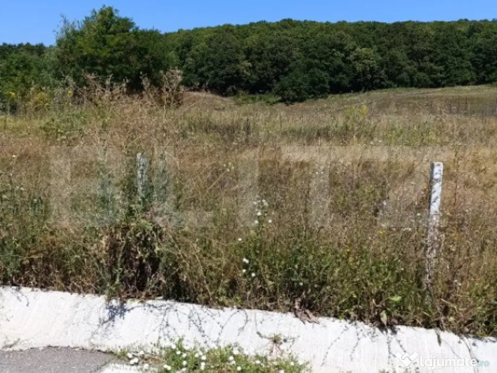 Teren 10200mp , toate utilitatile , la 10 km de DEJ