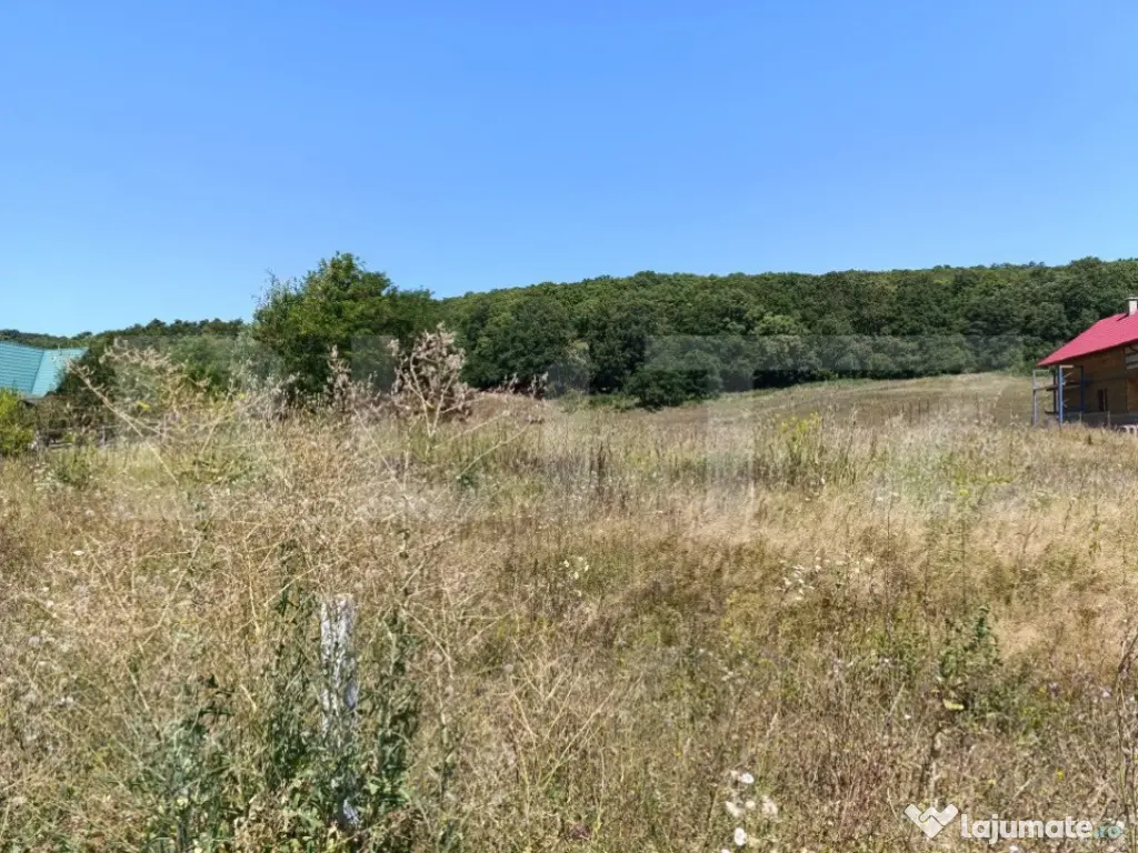 Teren 10200mp , toate utilitatile , la 10 km de DEJ