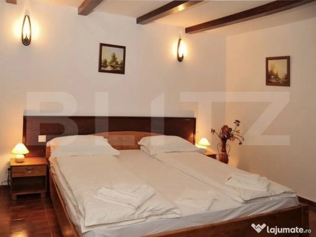 Ofertă unică: pensiune și teren generos de 16000 mp în