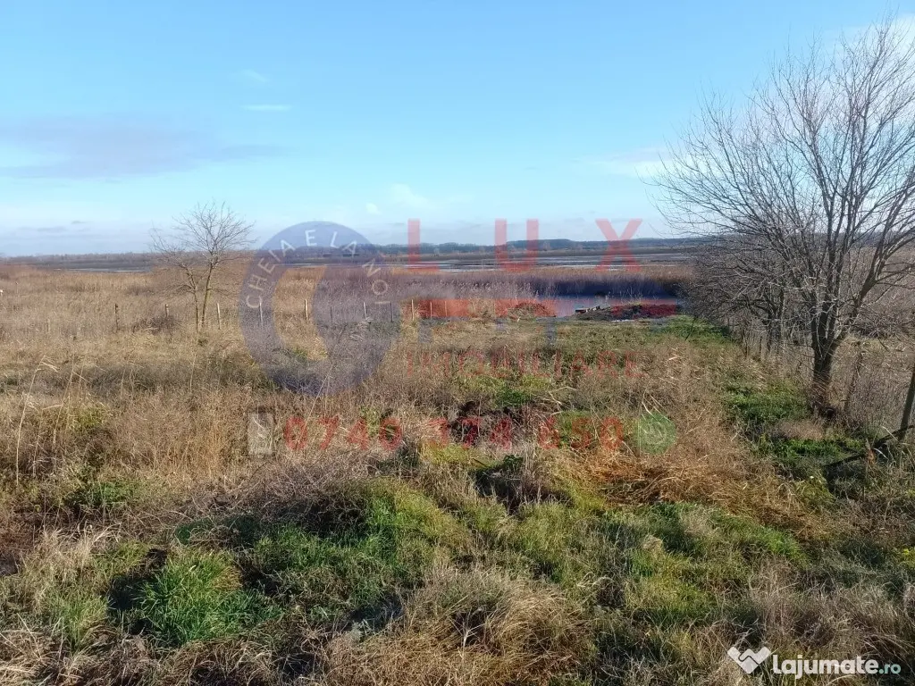 ID 7809 Teren intravilan in DUNĂVĂȚU DE SUS 